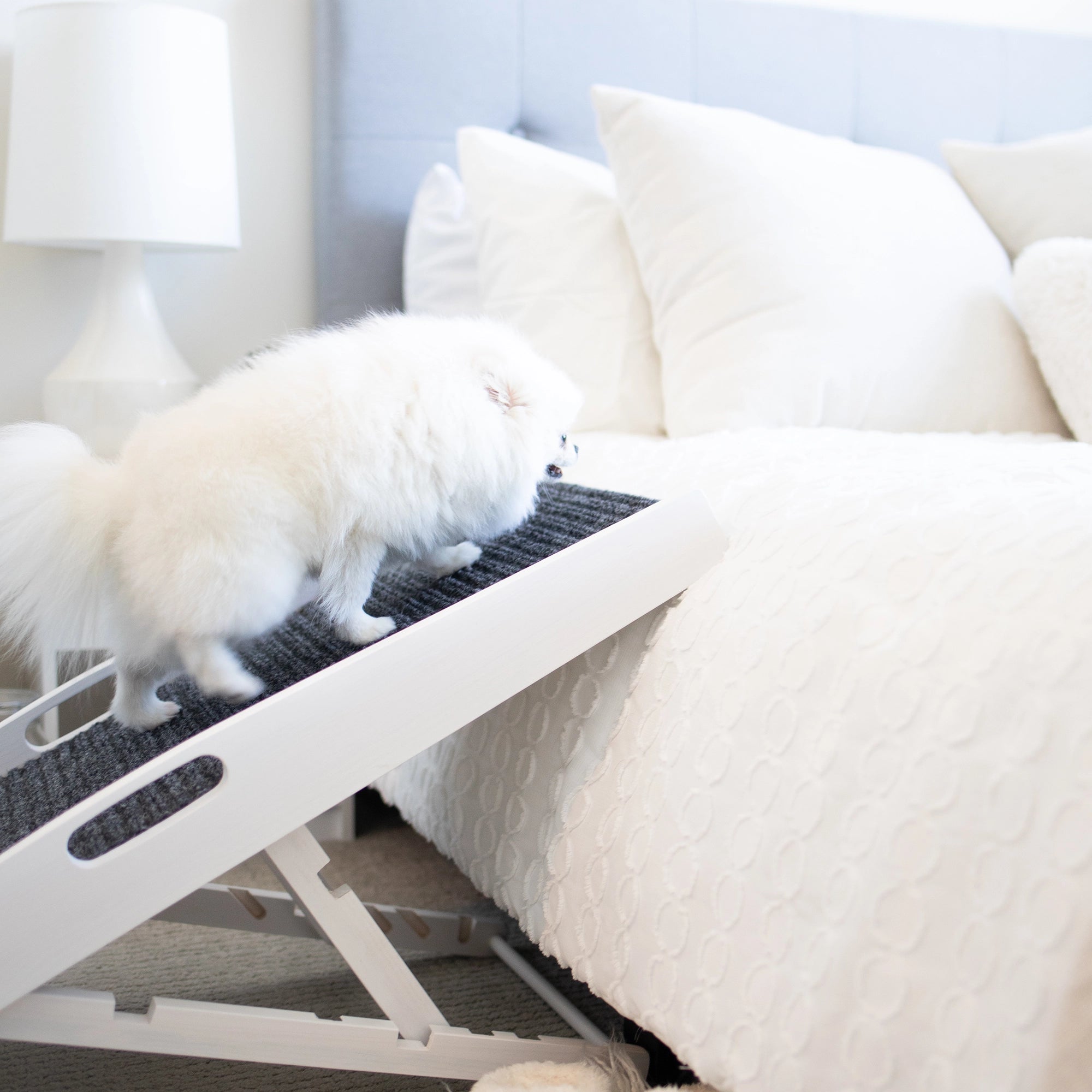 The Carlson Indoor Pet Ramp provides safe, adjustable access for pets up to 80 lbs with a foldable design, non-slip carpet, and easy portability.