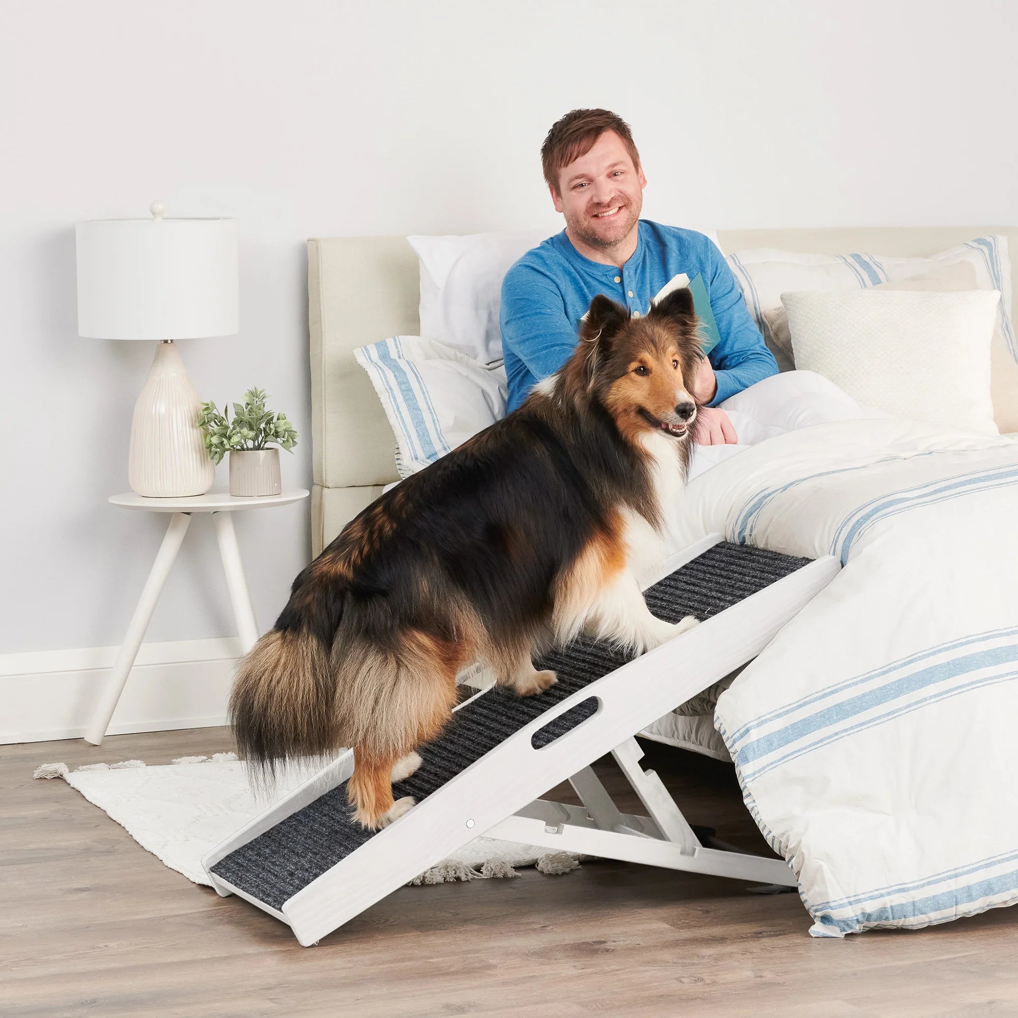 The Carlson Indoor Pet Ramp provides safe, adjustable access for pets up to 80 lbs with a foldable design, non-slip carpet, and easy portability.
