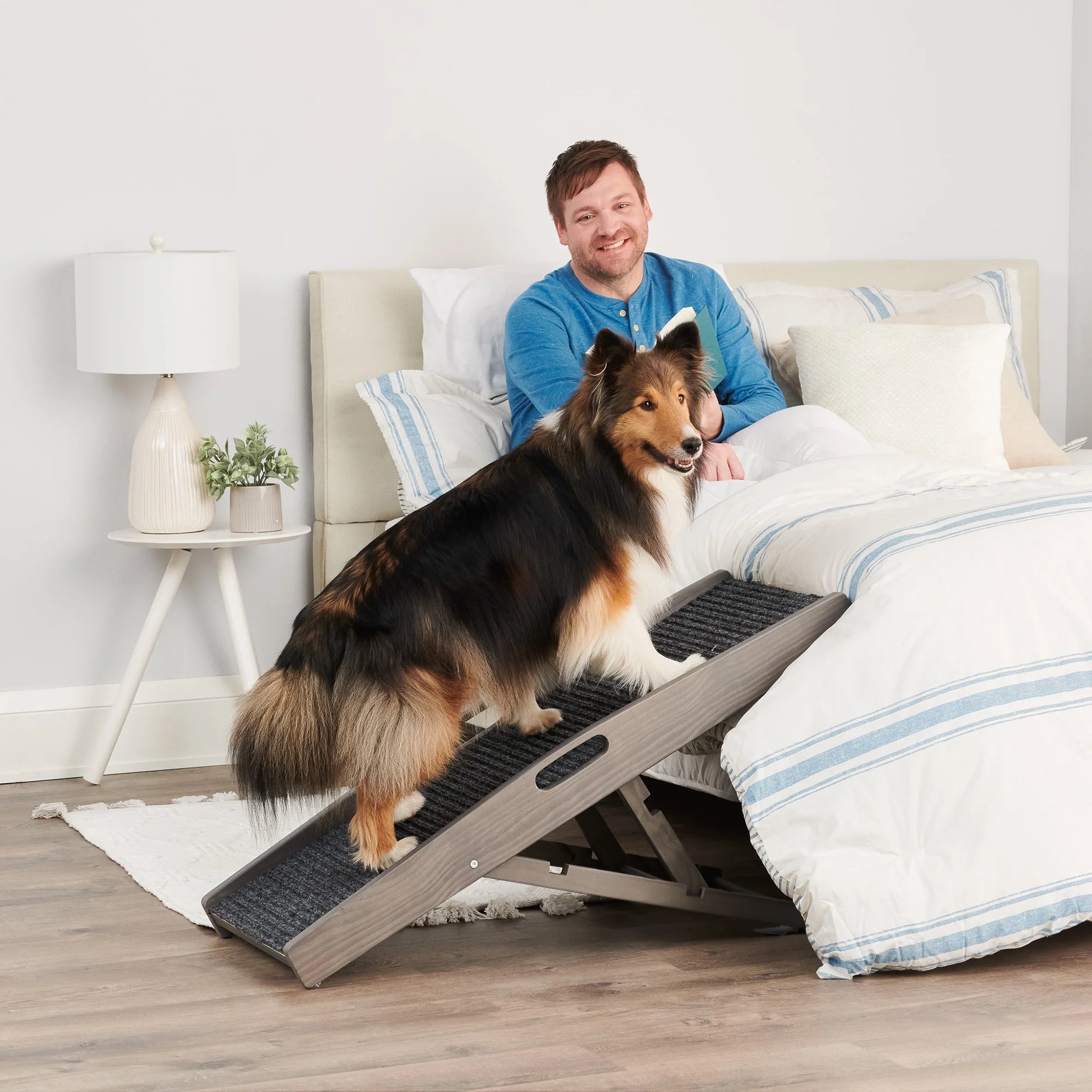 Dog going up to a bed on the Indoor Pet Ramp in a bedroom while owner is looking at the dog.
