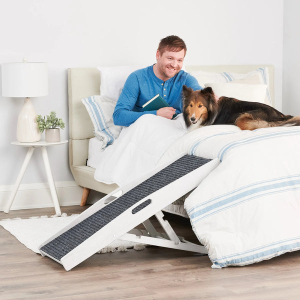 Carlson Pet Products - Indoor Pet Ramp