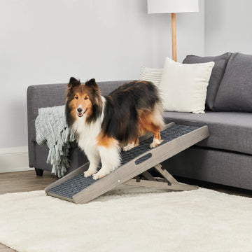 Dog standing on Gray Indoor Pet Ramp in a living room.