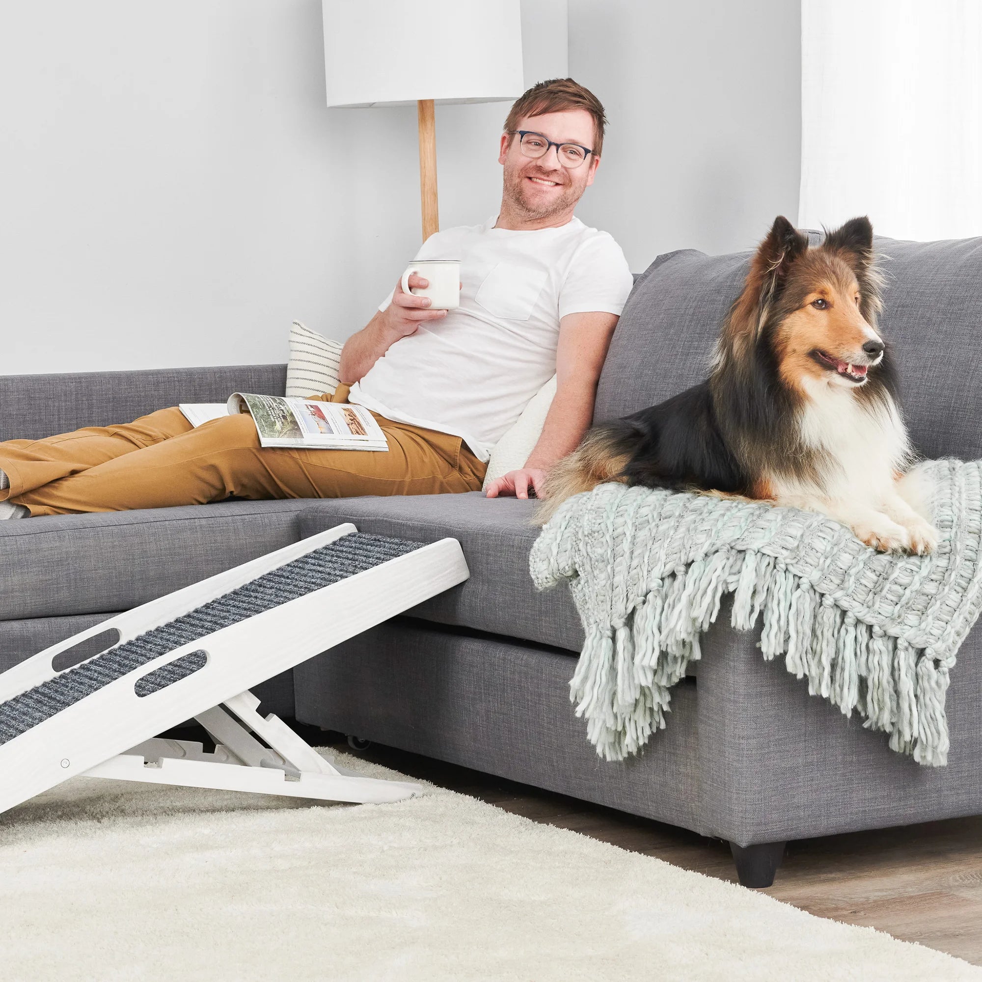 The Carlson Indoor Pet Ramp provides safe, adjustable access for pets up to 80 lbs with a foldable design, non-slip carpet, and easy portability.