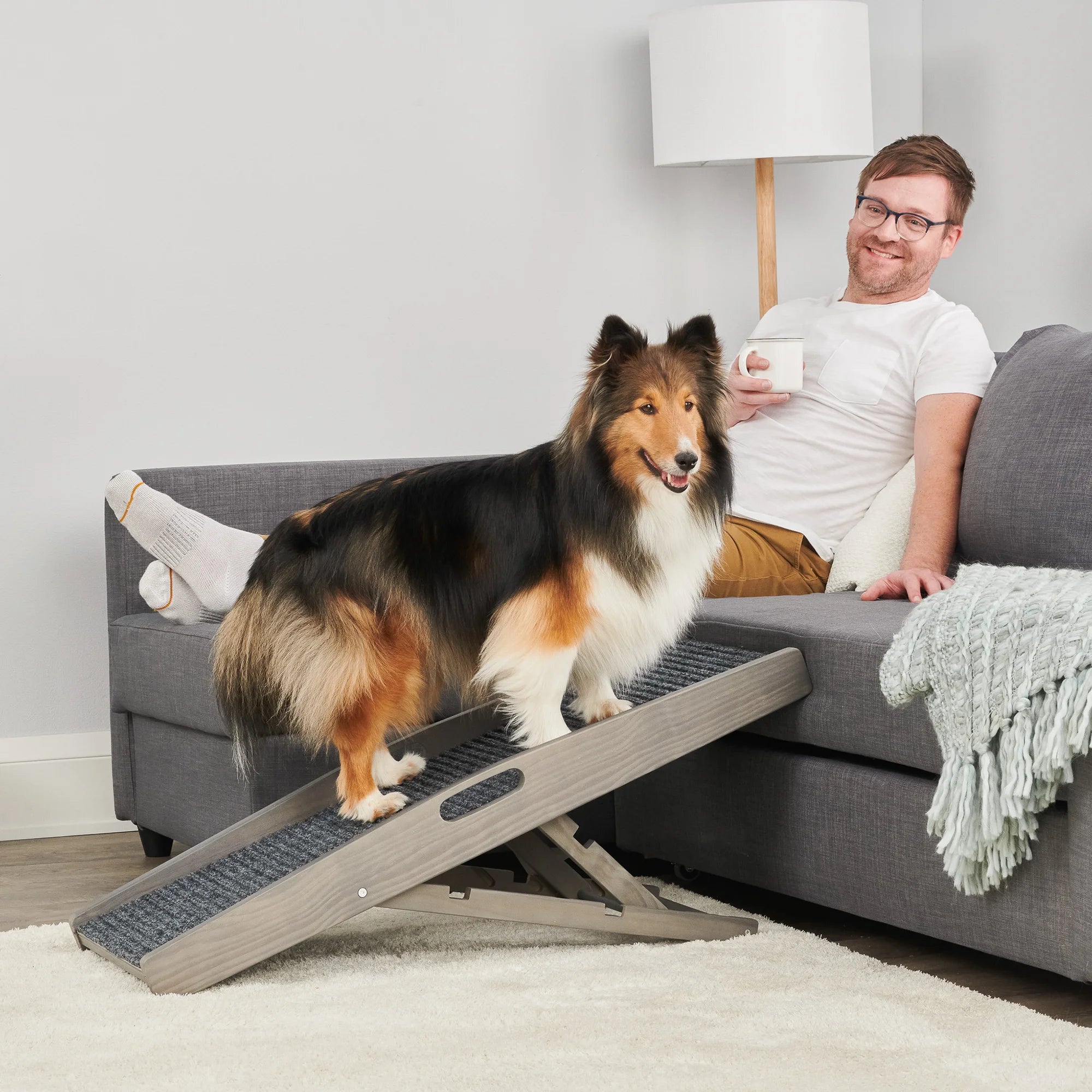 Carlson Indoor Pet Ramp in grey provides safe, easy access for pets to reach beds, couches, or chairs. Supports pets up to 80 lbs, with adjustable heights (12"-24"). Features a non-slip grey carpet, collapsible frame, and built-in handle for portability. Lightweight, durable, and easy to store.