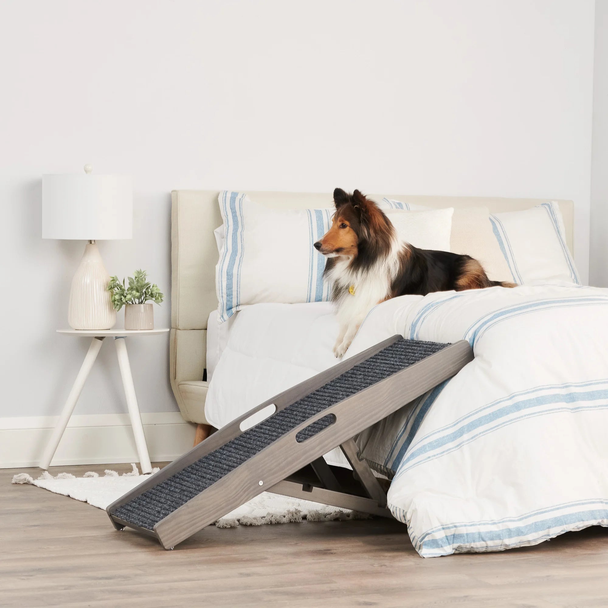 Carlson Indoor Pet Ramp in grey provides safe, easy access for pets to reach beds, couches, or chairs. Supports pets up to 80 lbs, with adjustable heights (12"-24"). Features a non-slip grey carpet, collapsible frame, and built-in handle for portability. Lightweight, durable, and easy to store.