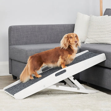 Brown dog standing on a Carlson Indoor Pet Ramp in a living room.