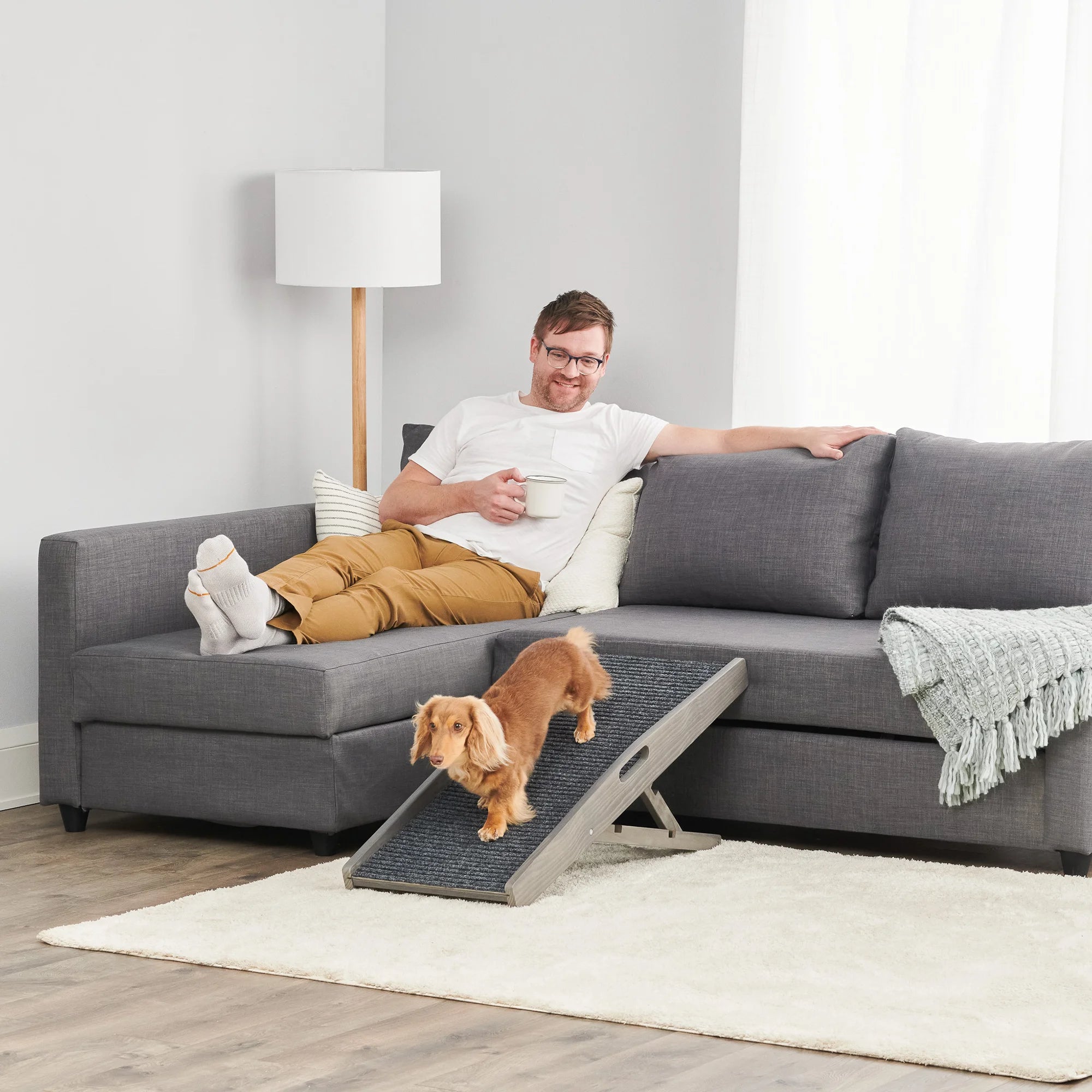 Carlson Indoor Pet Ramp in grey provides safe, easy access for pets to reach beds, couches, or chairs. Supports pets up to 80 lbs, with adjustable heights (12"-24"). Features a non-slip grey carpet, collapsible frame, and built-in handle for portability. Lightweight, durable, and easy to store.