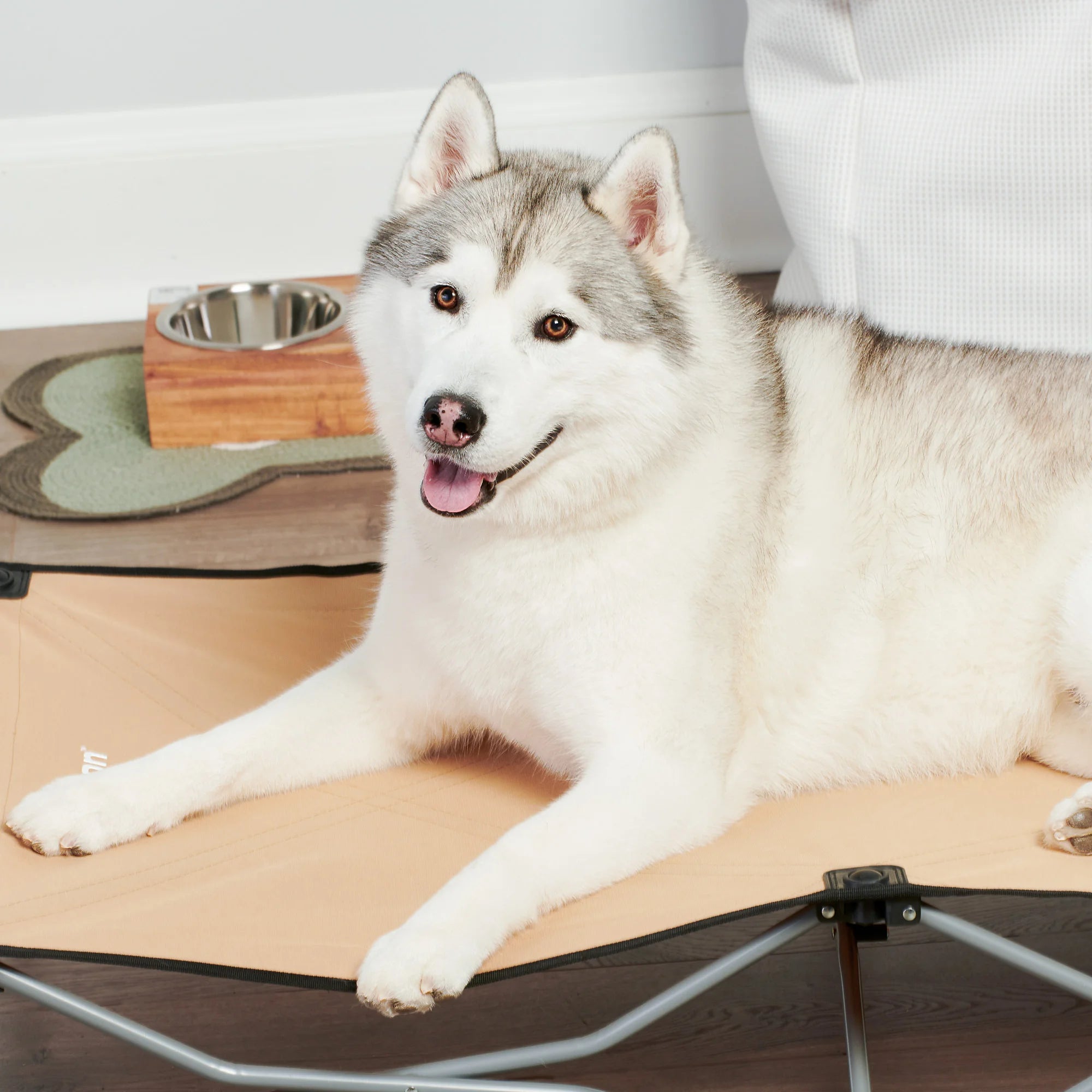A close up of a large dog laying on the Portable Pup Pet Bed while sitting in a laundry room.