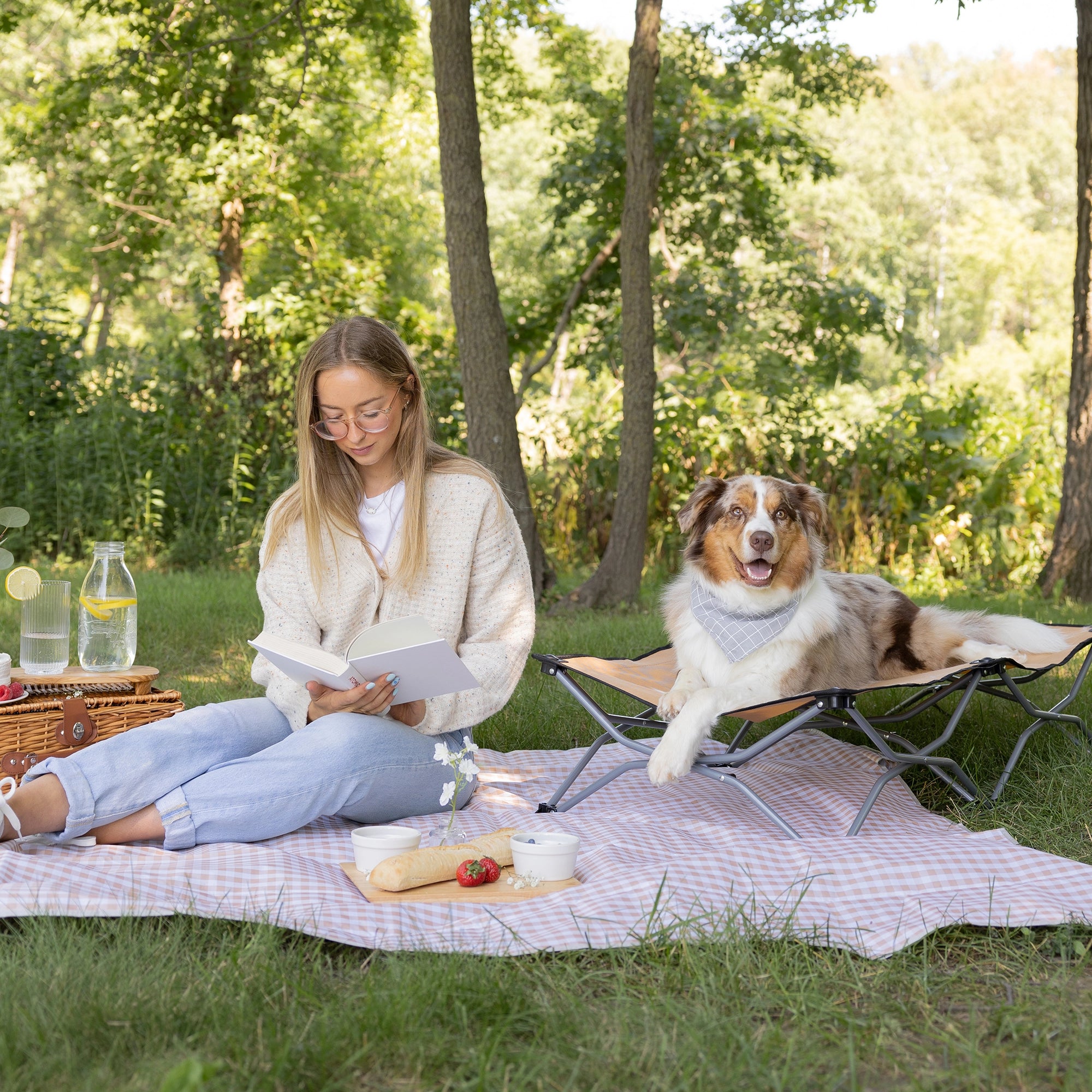 Portable and durable Carlson Large Tan Portable Pup Pet Bed with an all-steel frame and waterproof nylon fabric. Ideal for pets up to 95 pounds, it features easy setup, foldable design for storage, breathable mesh, and a comfortable elevated surface for indoor or outdoor use.