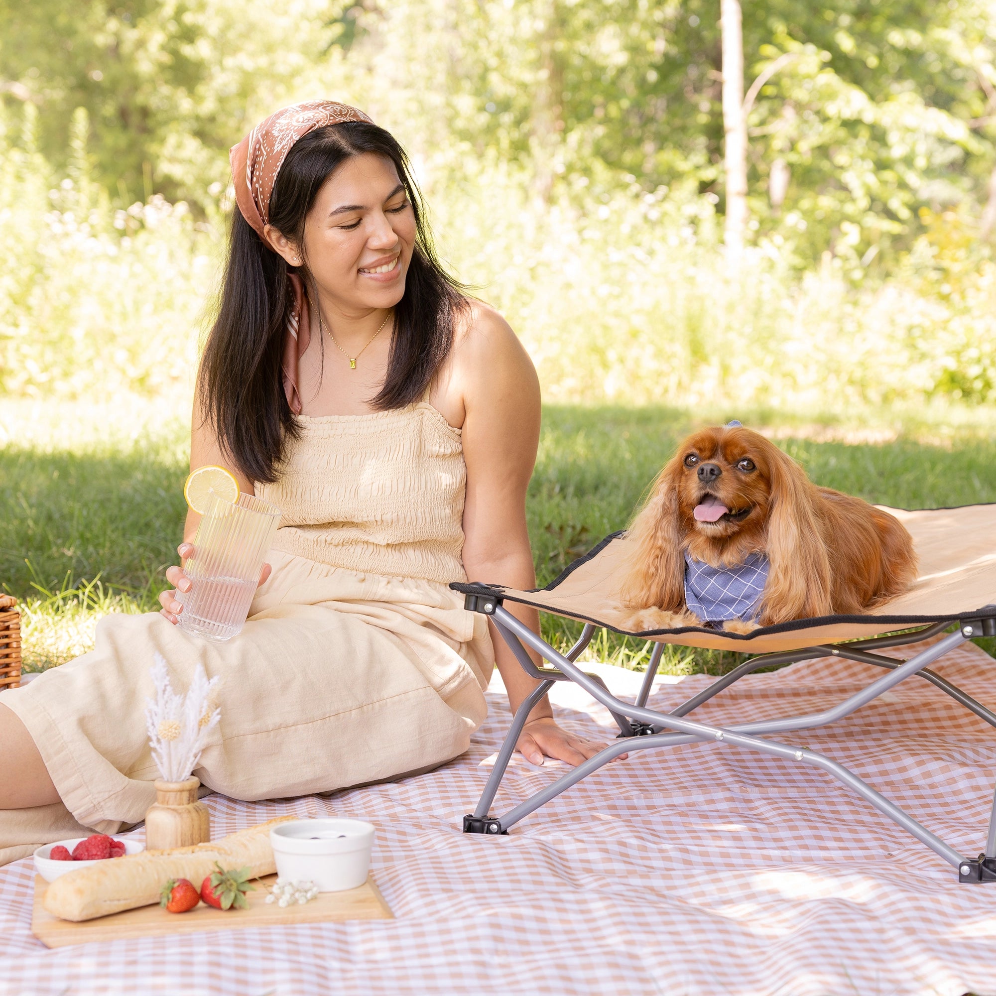 Portable and durable Carlson Large Tan Portable Pup Pet Bed with an all-steel frame and waterproof nylon fabric. Ideal for pets up to 95 pounds, it features easy setup, foldable design for storage, breathable mesh, and a comfortable elevated surface for indoor or outdoor use.