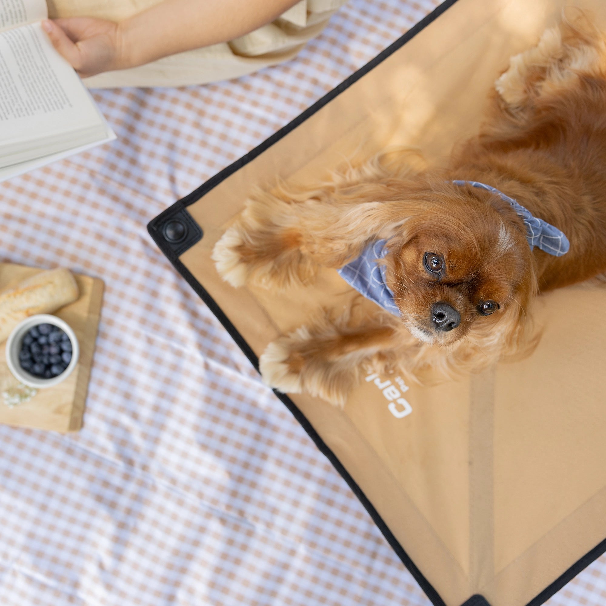 Portable and durable Carlson Large Tan Portable Pup Pet Bed with an all-steel frame and waterproof nylon fabric. Ideal for pets up to 95 pounds, it features easy setup, foldable design for storage, breathable mesh, and a comfortable elevated surface for indoor or outdoor use.