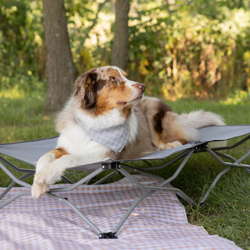 The Carlson Large Portable Pup Pet Bed in gray is a durable, lightweight cot-style bed designed for pets up to 95 pounds. Ideal for indoor and outdoor use, it features a breathable mesh, sturdy all-metal frame, and waterproof nylon fabric. It folds easily for transport and storage, providing comfort on the go.