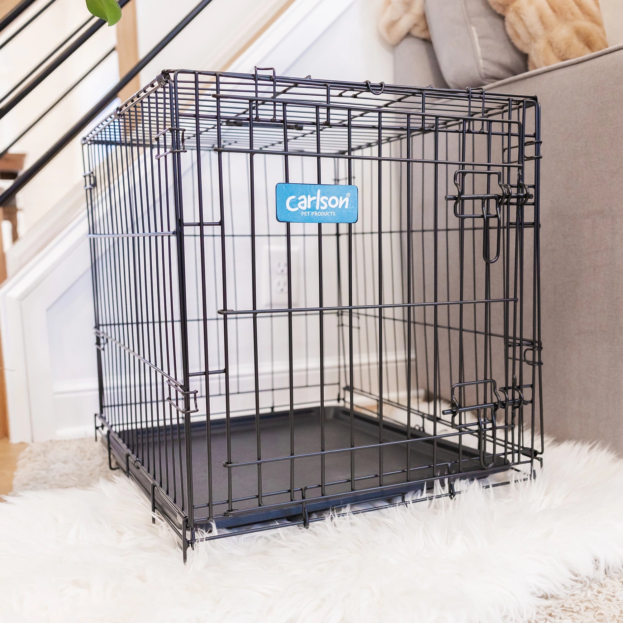 The Carlson Small Single-Door Dog Crate is a durable black wire crate designed for small dogs up to 22” long and 16” tall. It features a front door with a multi-point locking system, folds flat for easy storage and travel, and has a removable bottom pan for easy cleaning. Perfect for travel or home use.
