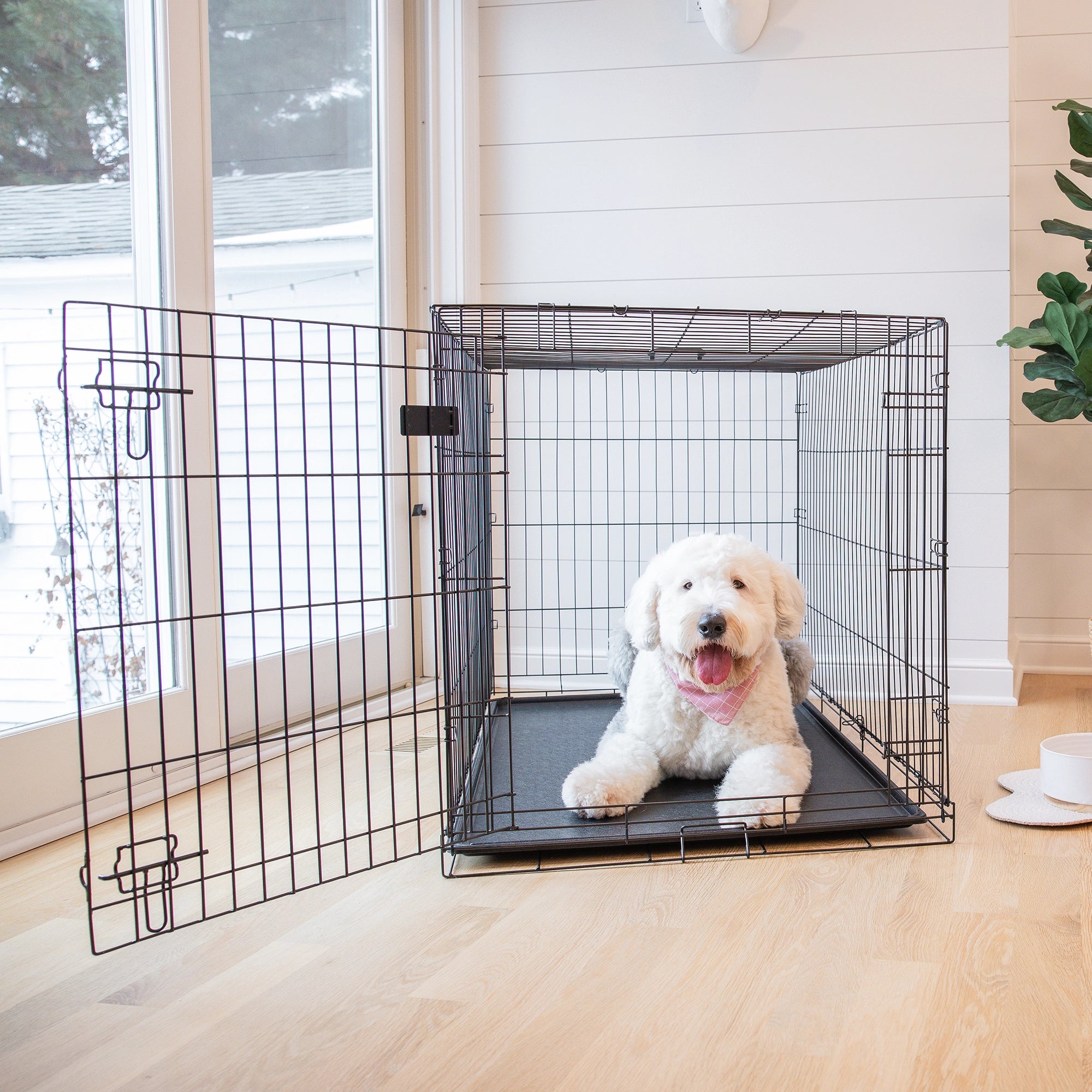 The Carlson Extra-Large Single-Door Dog Crate is a black, steel wire kennel measuring 48” L x 30” W x 32.5” H. It features one front door with a multi-point locking system, folds flat for easy storage and travel, and includes a removable, washable bottom pan for easy cleaning. Ideal for large to extra-large dogs.