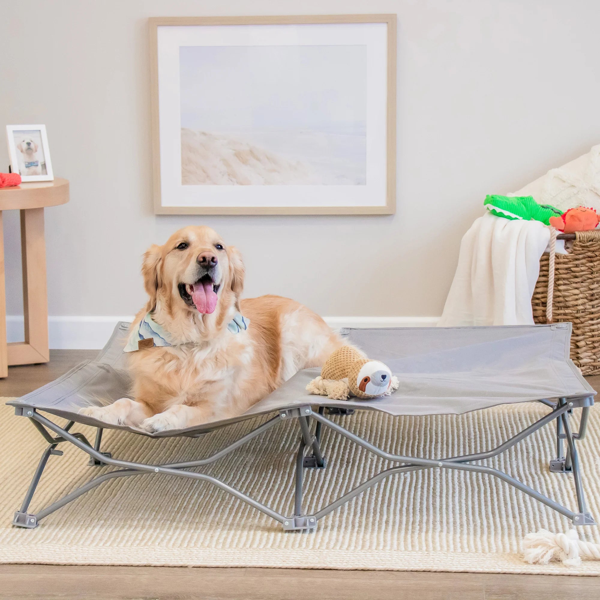 An extra-large, portable gray pet bed with an elevated cot-style design, ideal for pets up to 75 pounds. It features a sturdy steel frame, breathable mesh for ventilation, waterproof nylon, and a foldable, lightweight structure for easy storage and transport. Perfect for indoor and outdoor use.