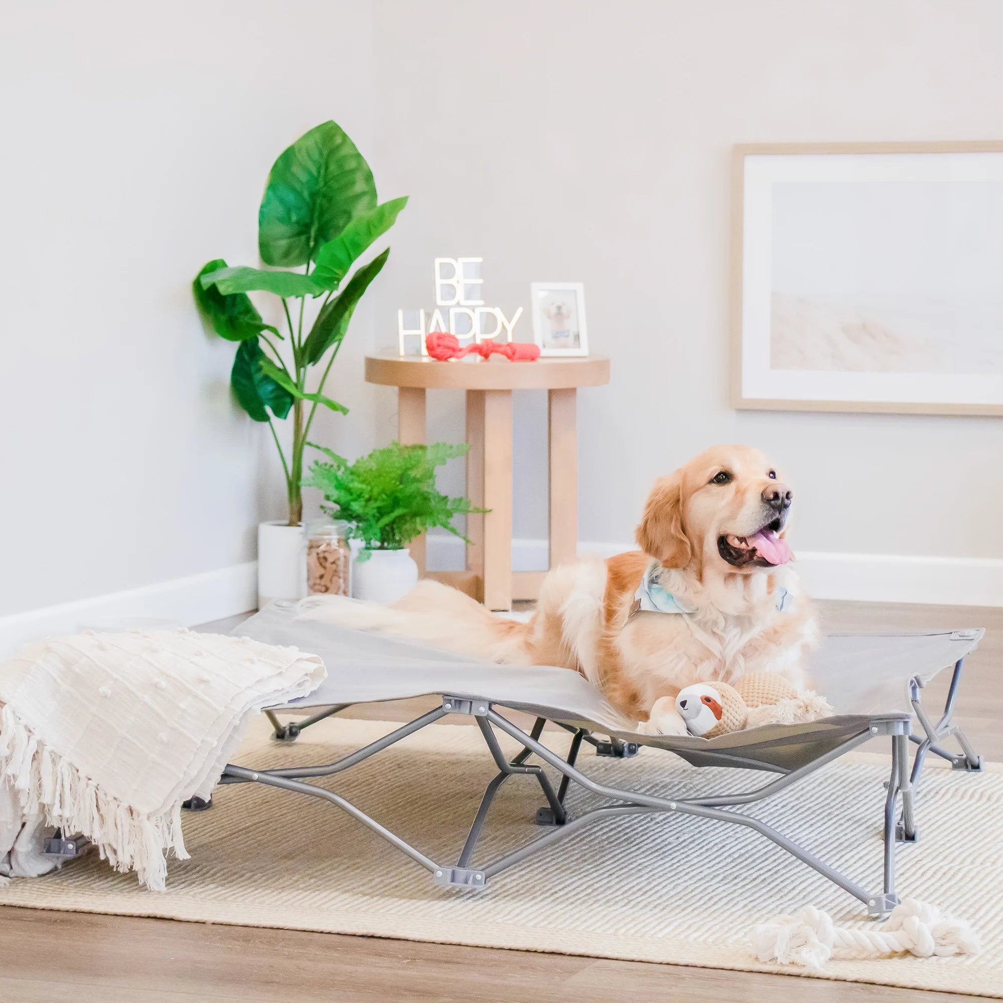 An extra-large, portable gray pet bed with an elevated cot-style design, ideal for pets up to 75 pounds. It features a sturdy steel frame, breathable mesh for ventilation, waterproof nylon, and a foldable, lightweight structure for easy storage and transport. Perfect for indoor and outdoor use.