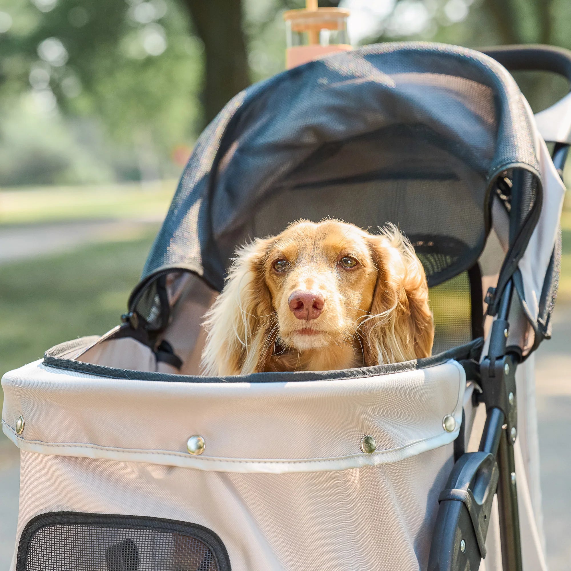 The Carlson Portable Pup Pet Stroller is a lightweight, foldable stroller with a mesh canopy, safety leash, and 360-degree wheels for easy outdoor walks.