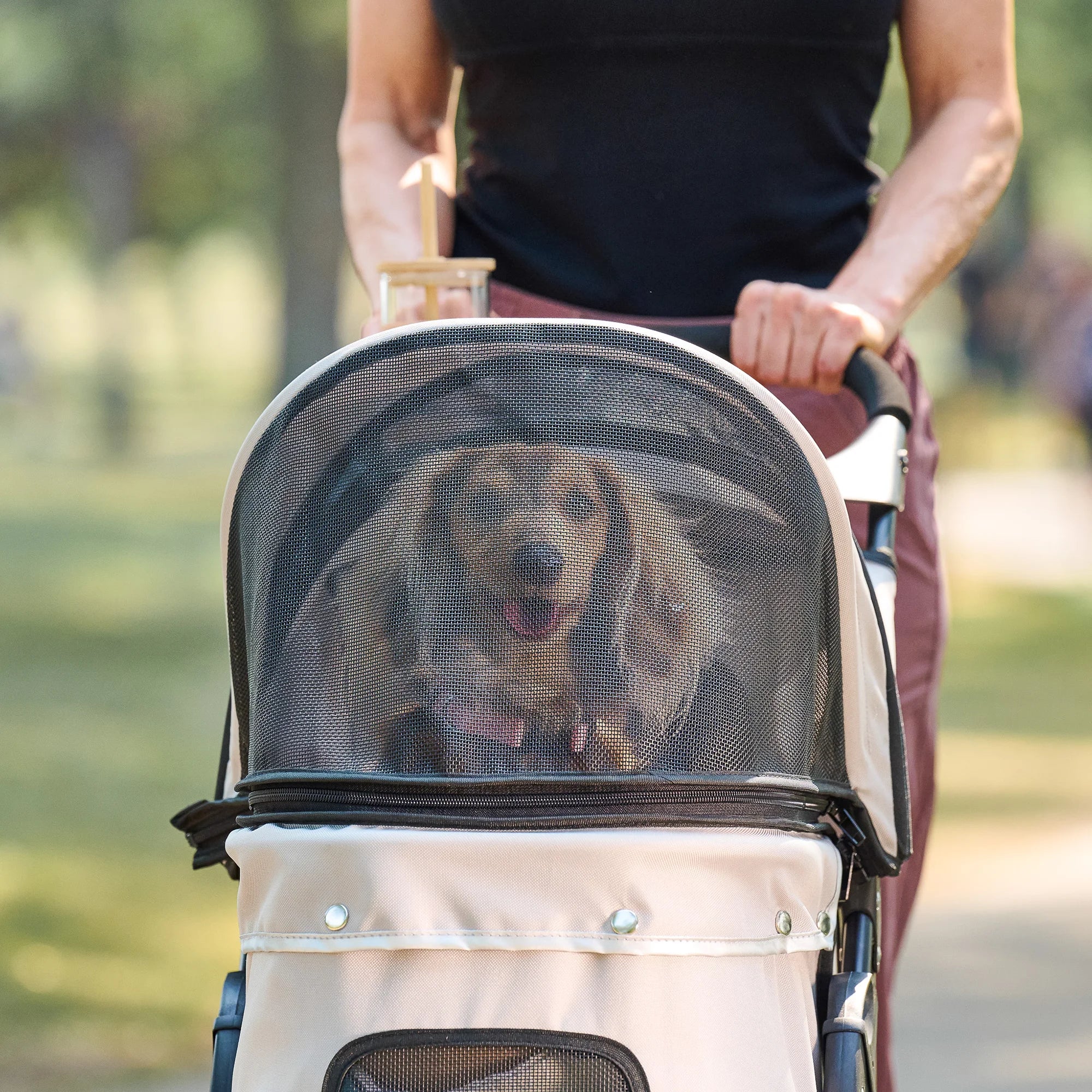 The Carlson Portable Pup Pet Stroller is a lightweight, foldable stroller with a mesh canopy, safety leash, and 360-degree wheels for easy outdoor walks.