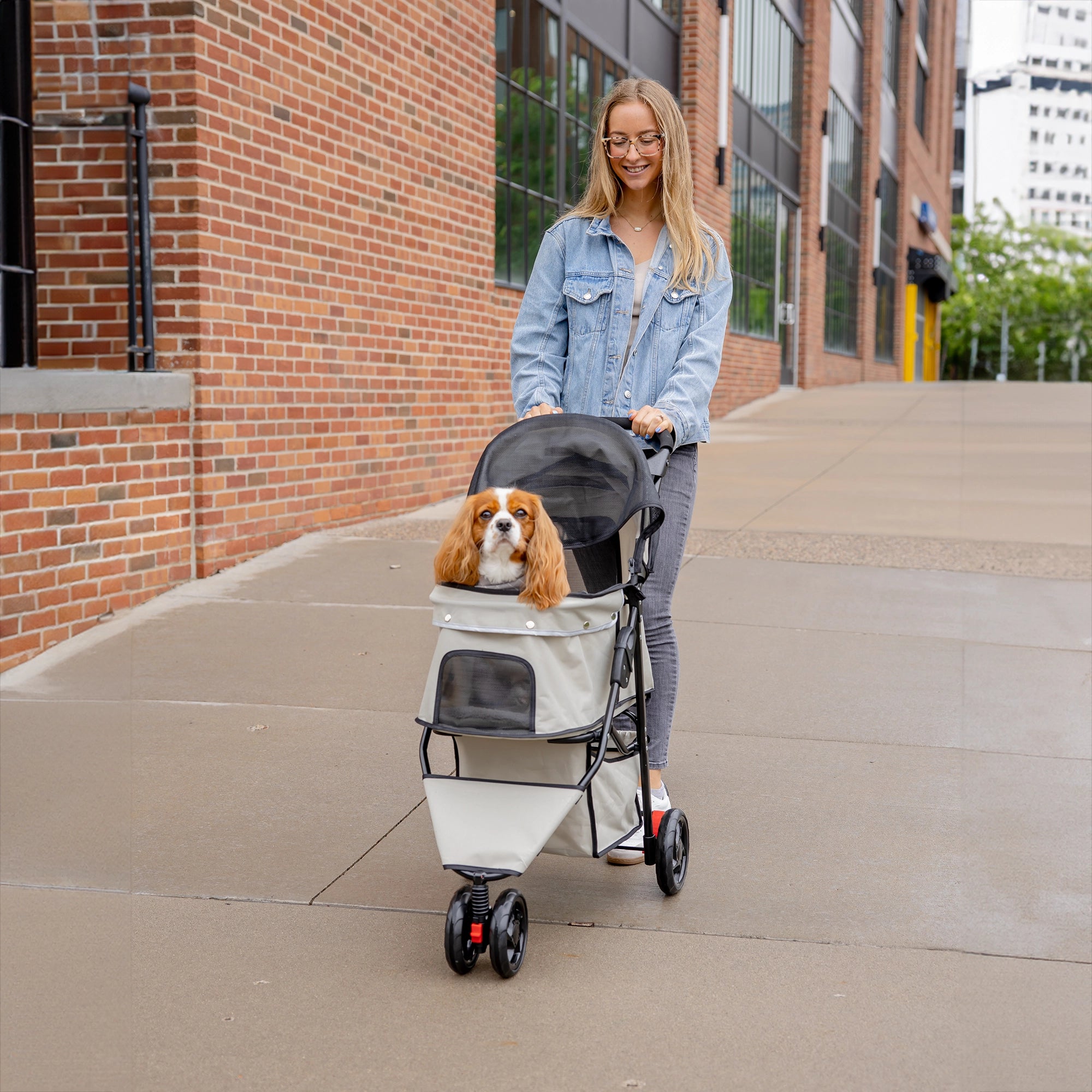 The Carlson Portable Pup Pet Stroller is a lightweight, foldable stroller with a mesh canopy, safety leash, and 360-degree wheels for easy outdoor walks.