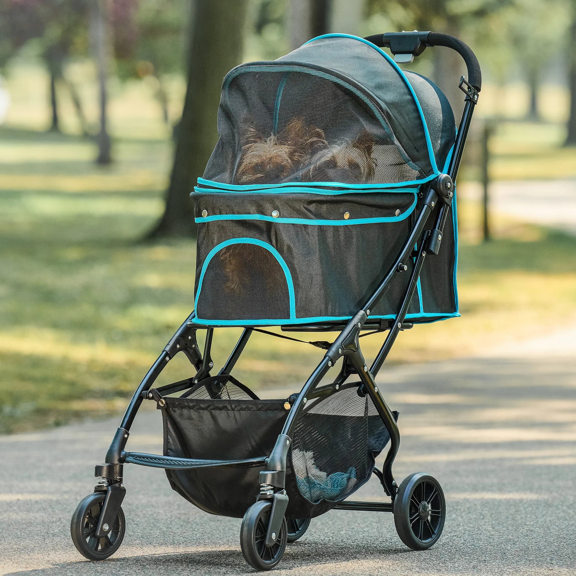 Two dogs sitting in the Easy Fold & Go Pet Stroller while at a park.