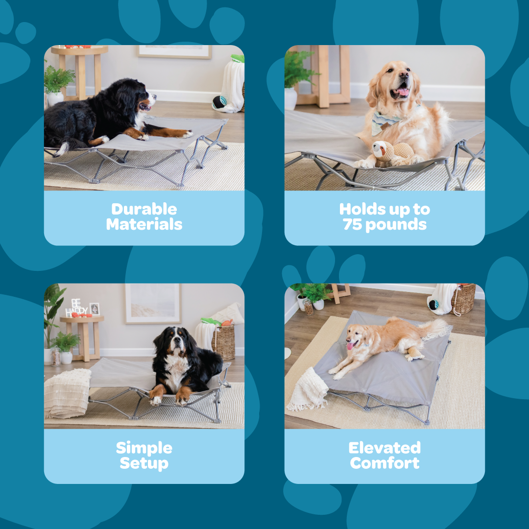 An extra-large, portable gray pet bed with an elevated cot-style design, ideal for pets up to 75 pounds. It features a sturdy steel frame, breathable mesh for ventilation, waterproof nylon, and a foldable, lightweight structure for easy storage and transport. Perfect for indoor and outdoor use.