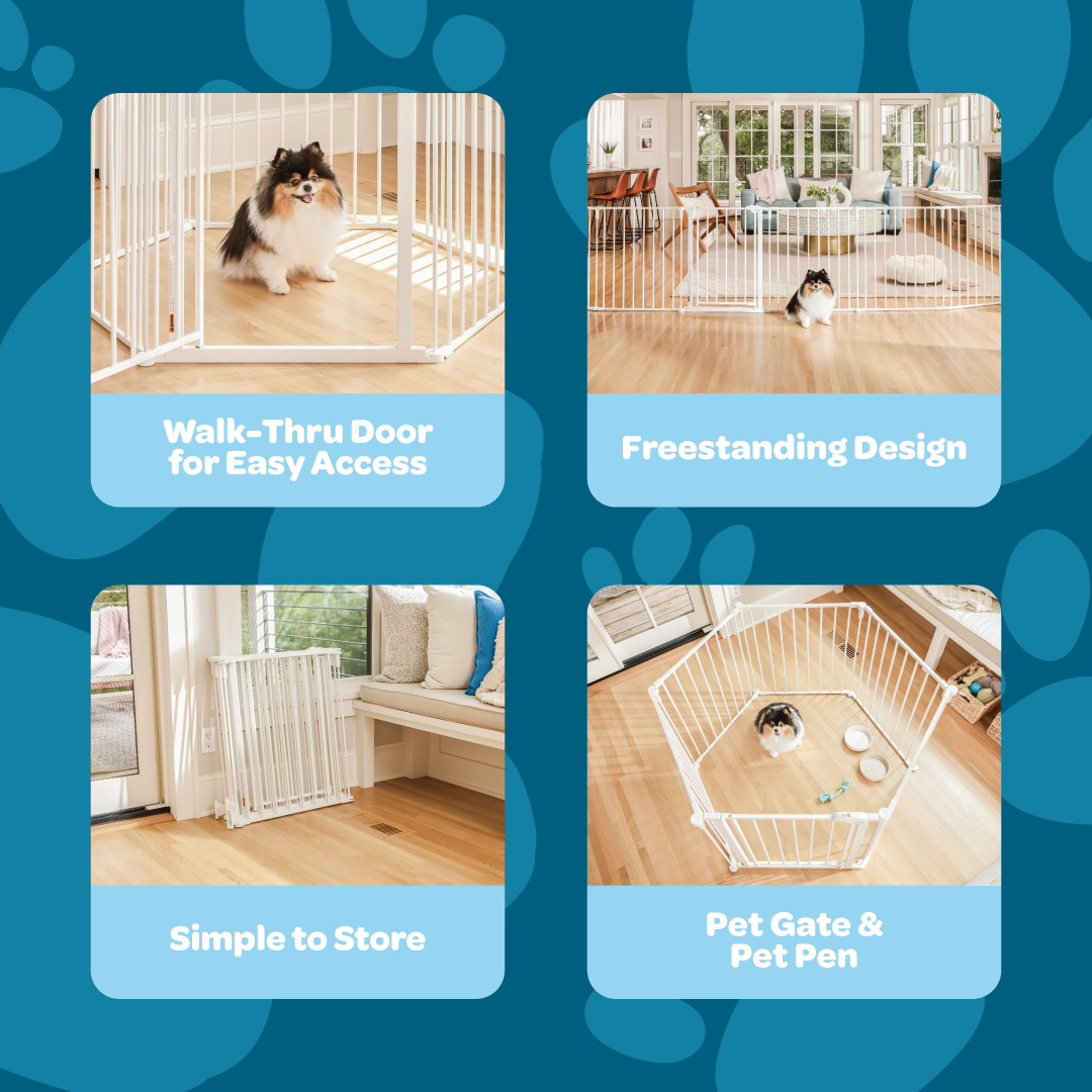 The Carlson Convertible Pet Yard is a versatile, chew-proof pet enclosure with all-steel construction. It features adjustable hinged posts, expanding from 52” to 146.5” wide. Standing 28” tall, it includes a walk-through door with a slide handle, offering a flexible and secure space for pets at home.