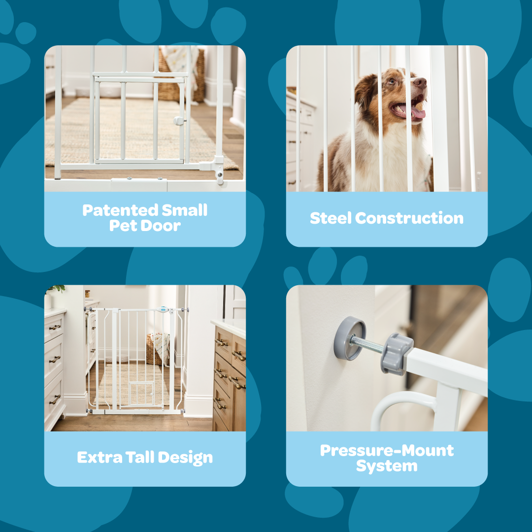 The Carlson 36” Extra Tall Walk-Thru Pet Gate with Small Pet Door in white, made of durable steel, is designed to keep pets safely contained. It features a 36” height, expandable width (29” to 36.5”), easy walk-through door, and a small pet door for small animals to pass through while keeping larger pets confined.
