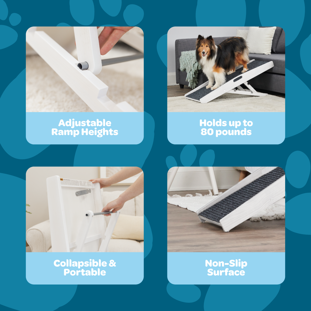 The Carlson Indoor Pet Ramp provides safe, adjustable access for pets up to 80 lbs with a foldable design, non-slip carpet, and easy portability.