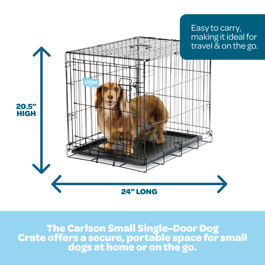 The Carlson Small Single-Door Dog Crate is a durable black wire crate designed for small dogs up to 22” long and 16” tall. It features a front door with a multi-point locking system, folds flat for easy storage and travel, and has a removable bottom pan for easy cleaning. Perfect for travel or home use.