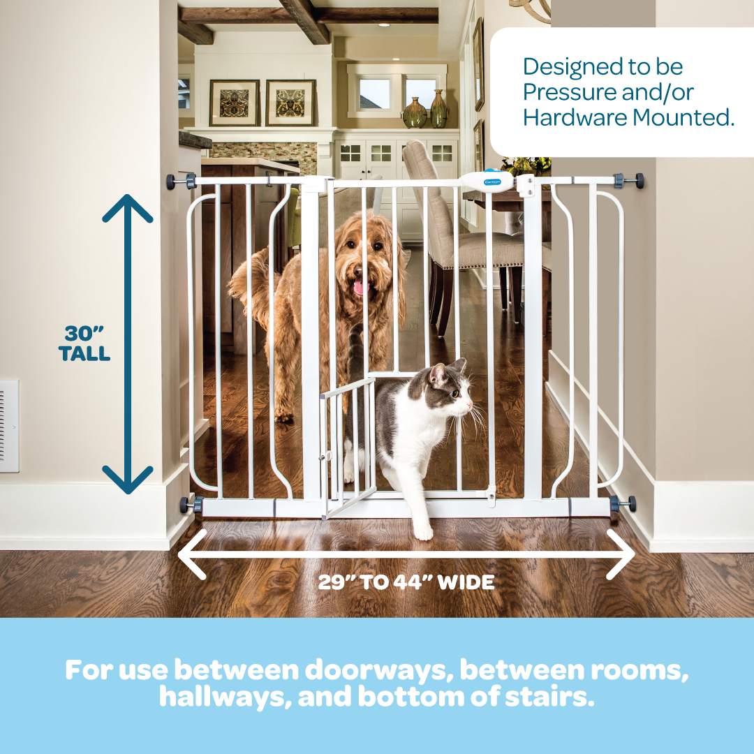 Carlson Extra Wide Walk-Thru Pet Gate in white with a small pet door, designed for extra wide openings. Features a sturdy, chew-proof steel frame, expands to fit openings 29”-36.5” wide, includes a 4” extension, and a 16.5” walk-thru door. Easy installation with no drilling required.
