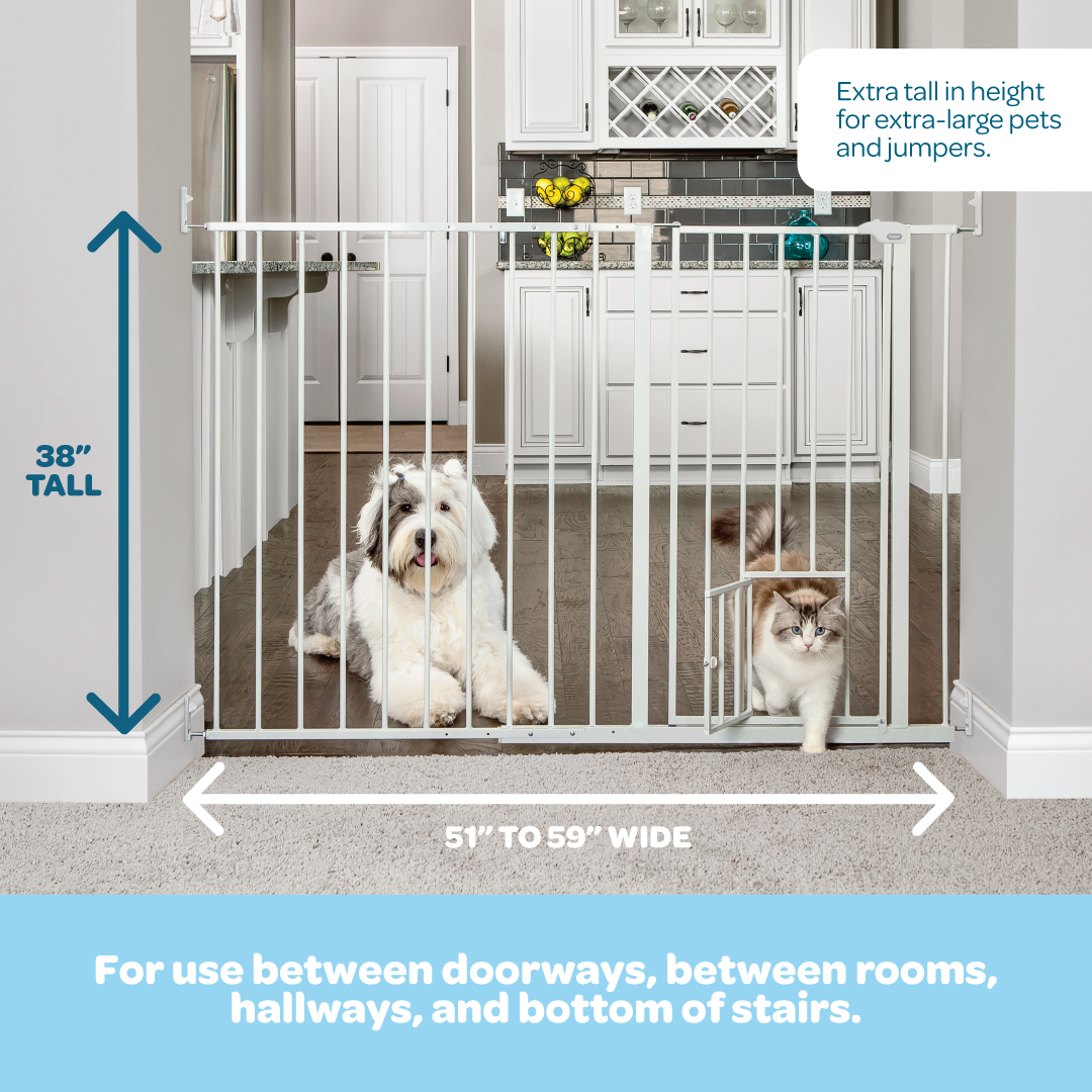 Carlson Maxi Extra Tall Walk-Thru Pet Gate in white with small pet door. Designed for wide openings (51"-59"), it stands 38" tall to contain larger or active pets. Features a 15.9" wide walk-through door, easy lever-style handle, and secure hardware mount for durable, long-lasting use.