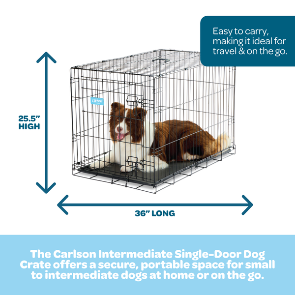 Carlson Intermediate Single Door Dog Crate