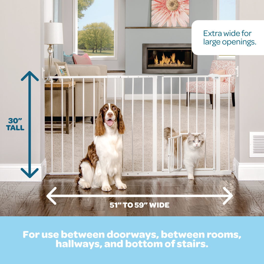 Carlson Maxi Walk-Thru Pet Gate with Small Pet Door, designed for wide openings between 51" and 59". Made of durable steel, it provides a chew-proof barrier. Features a 15.9" wide walk-through door, a patented small pet door, and easy wall-mount installation for added convenience.