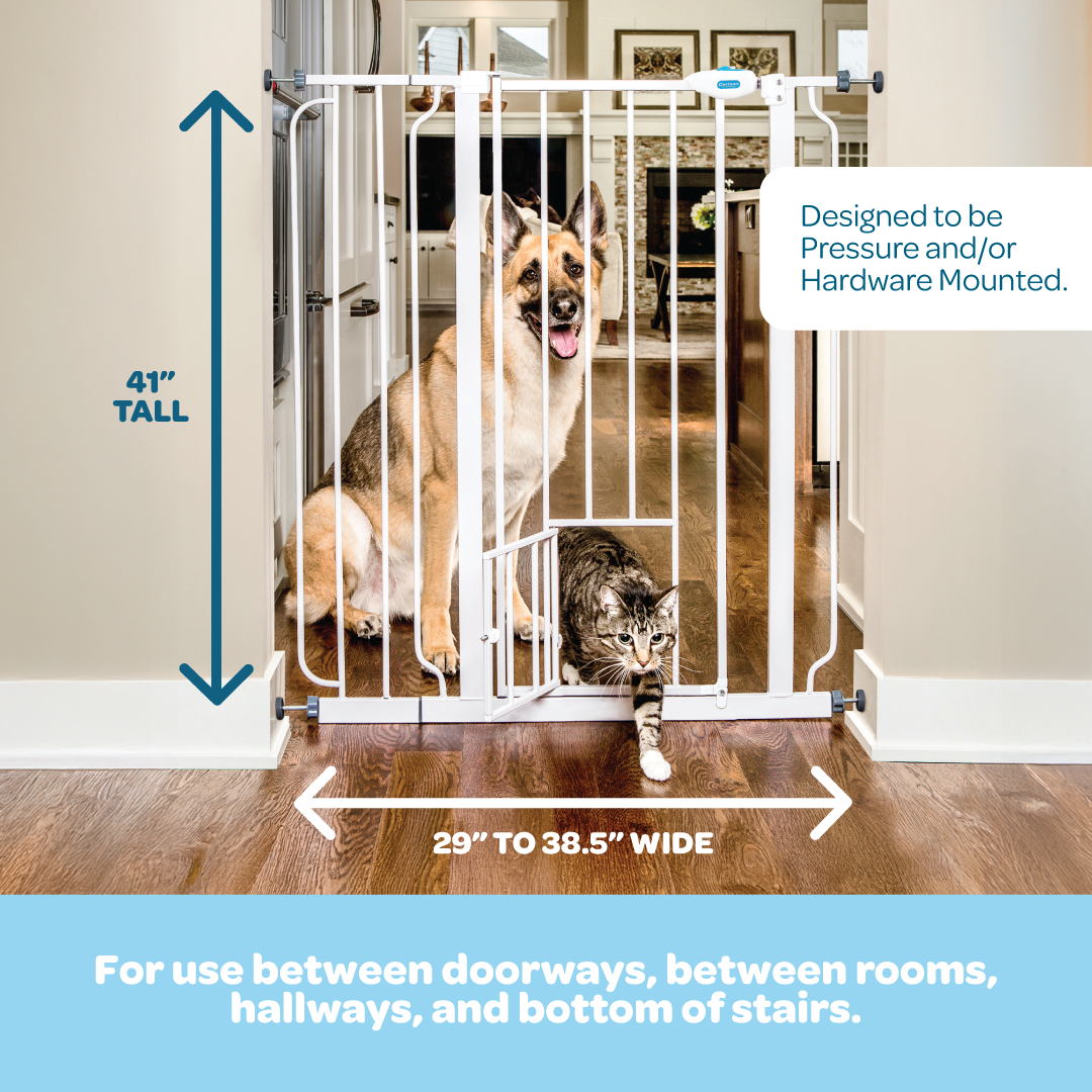 The Carlson 41” Extra Tall Walk-Thru Pet Gate with Small Pet Door in white is ideal for extra-large or jumpy dogs. Made from chew-proof steel, it stands at 41” tall and fits openings between 29” and 38.5” wide. Includes a 6” extension and features a small pet door for easy access by smaller animals. Perfect for secure, versatile use.
