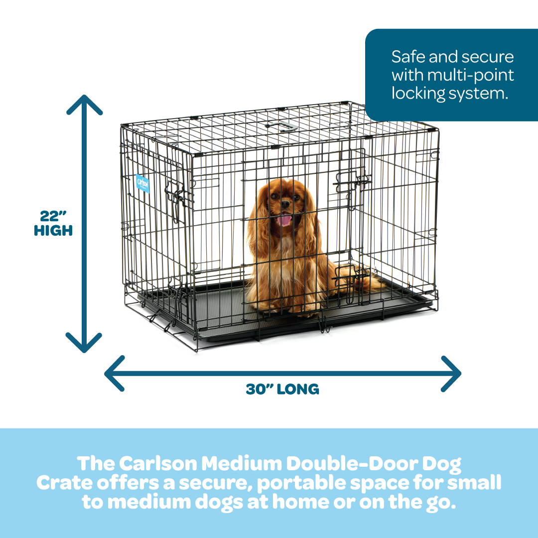 The Carlson Medium Double-Door Dog Crate features a sturdy steel wire construction, offering a safe and comfortable space for small to medium-sized dogs up to 24” long. It includes two access doors, a removable pan for easy cleaning, and folds flat for convenient storage and transport. Ideal for training and containment.