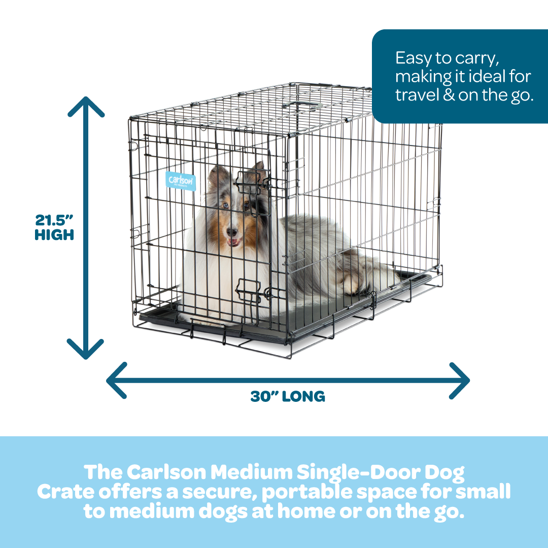 Carlson Medium Single-Door Dog Crate in black, made of durable steel wire. Measures 30” L x 19” W x 21.5” H, with a multi-point locking system for security. Folds flat for easy storage and portability. Removable bottom pan for easy cleaning. Ideal for small to medium dogs up to 24” long.