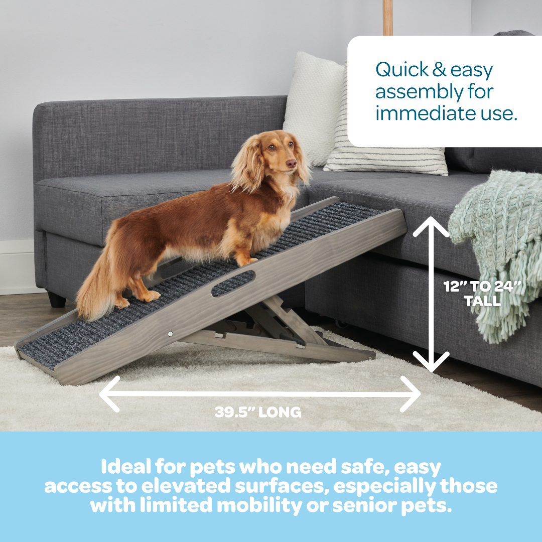 Carlson Indoor Pet Ramp in grey provides safe, easy access for pets to reach beds, couches, or chairs. Supports pets up to 80 lbs, with adjustable heights (12"-24"). Features a non-slip grey carpet, collapsible frame, and built-in handle for portability. Lightweight, durable, and easy to store.