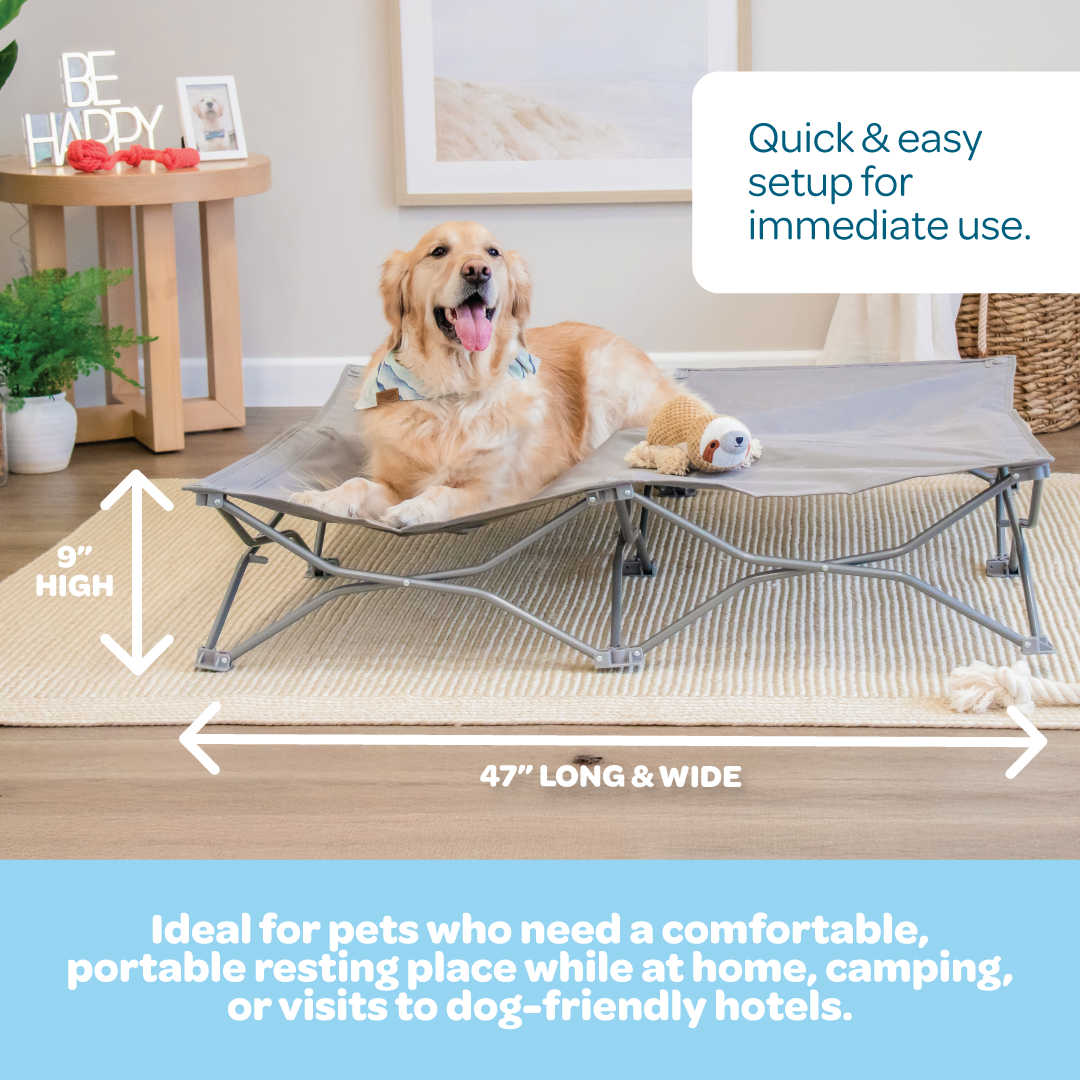 An extra-large, portable gray pet bed with an elevated cot-style design, ideal for pets up to 75 pounds. It features a sturdy steel frame, breathable mesh for ventilation, waterproof nylon, and a foldable, lightweight structure for easy storage and transport. Perfect for indoor and outdoor use.