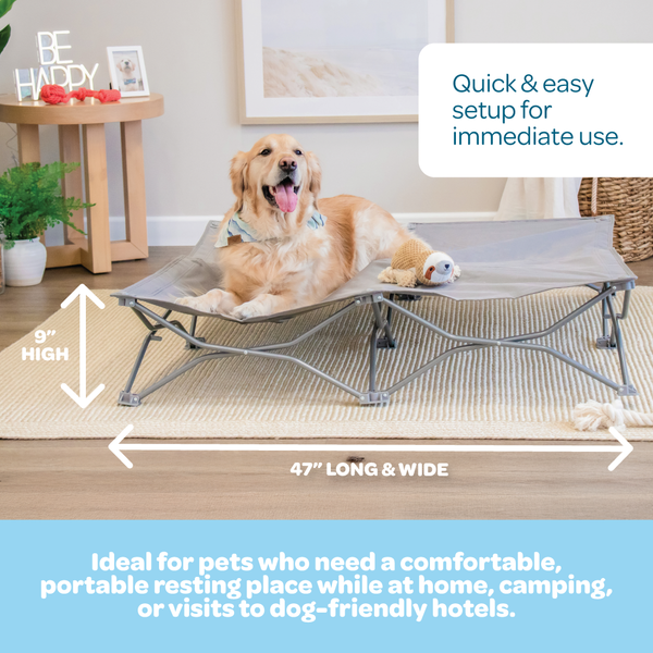 pets at home raised dog bed