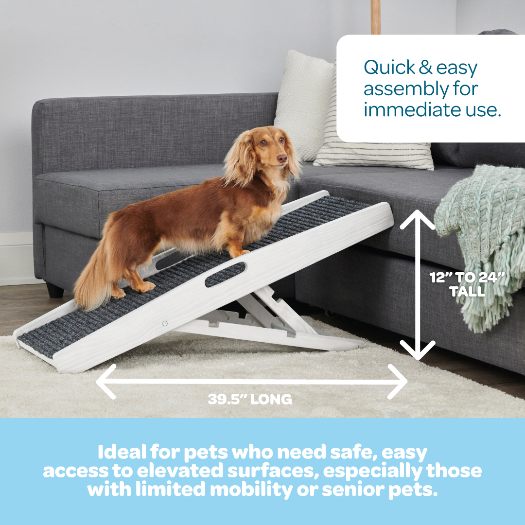 The Carlson Indoor Pet Ramp provides safe, adjustable access for pets up to 80 lbs with a foldable design, non-slip carpet, and easy portability.