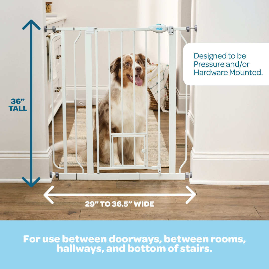 The Carlson 36” Extra Tall Walk-Thru Pet Gate with Small Pet Door in white, made of durable steel, is designed to keep pets safely contained. It features a 36” height, expandable width (29” to 36.5”), easy walk-through door, and a small pet door for small animals to pass through while keeping larger pets confined.
