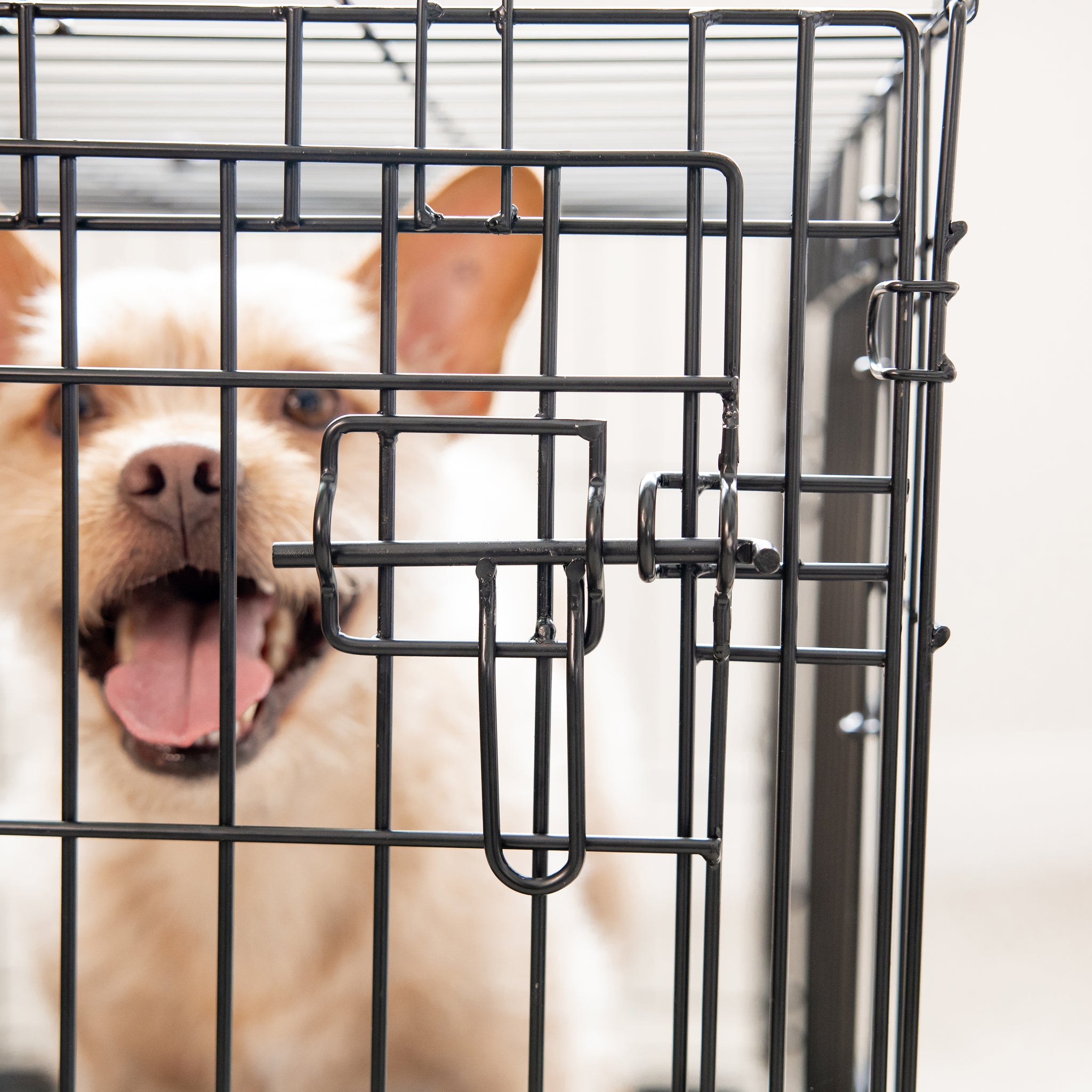 The Carlson Medium Double-Door Dog Crate features a sturdy steel wire construction, offering a safe and comfortable space for small to medium-sized dogs up to 24” long. It includes two access doors, a removable pan for easy cleaning, and folds flat for convenient storage and transport. Ideal for training and containment.