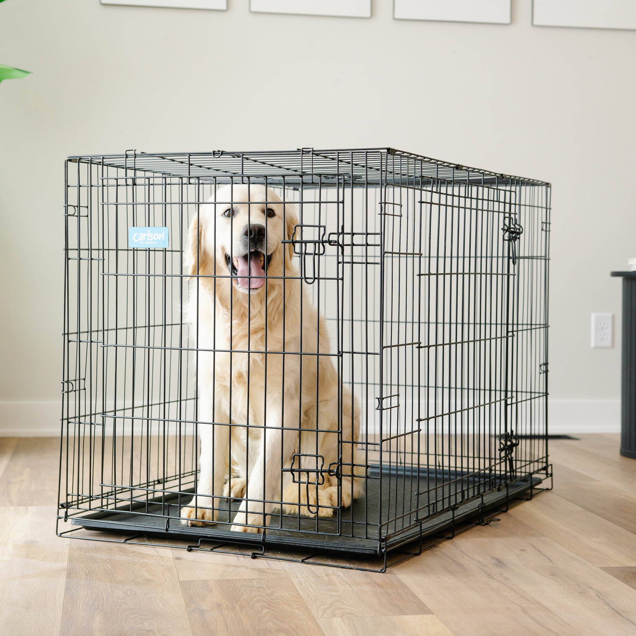 The Carlson Large Double-Door Dog Crate is a durable and portable steel wire crate designed for medium to large dogs. It features two access doors, a multi-point locking system, a removable bottom pan for easy cleaning, and a divider to adjust the space as your puppy grows. Ideal for travel and home use.