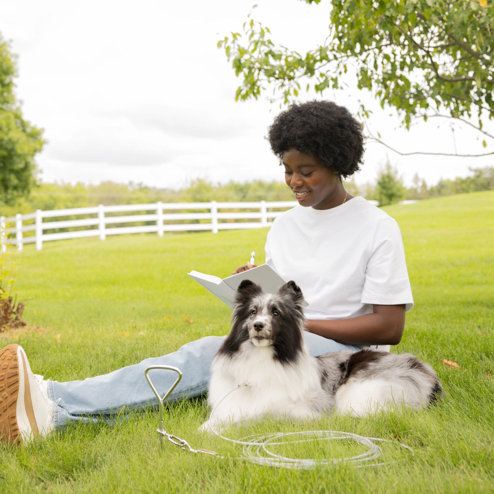 Carlson Triangle Screw Stake, a silver pet containment solution standing 18.3 inches tall. It features a triangle top and screw-shaped body designed to securely anchor the stake into the ground. Ideal for use with Carlson Dog Tie-Out Cables, providing safety for pets at home or while traveling.