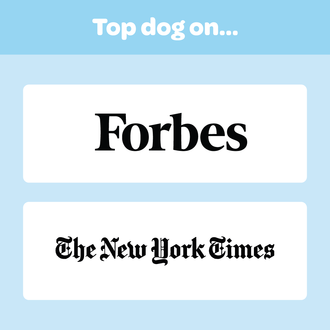 The Carlson Portable Pup Pet Stroller is a lightweight, foldable stroller with a mesh canopy, safety leash, and 360-degree wheels for easy outdoor walks.