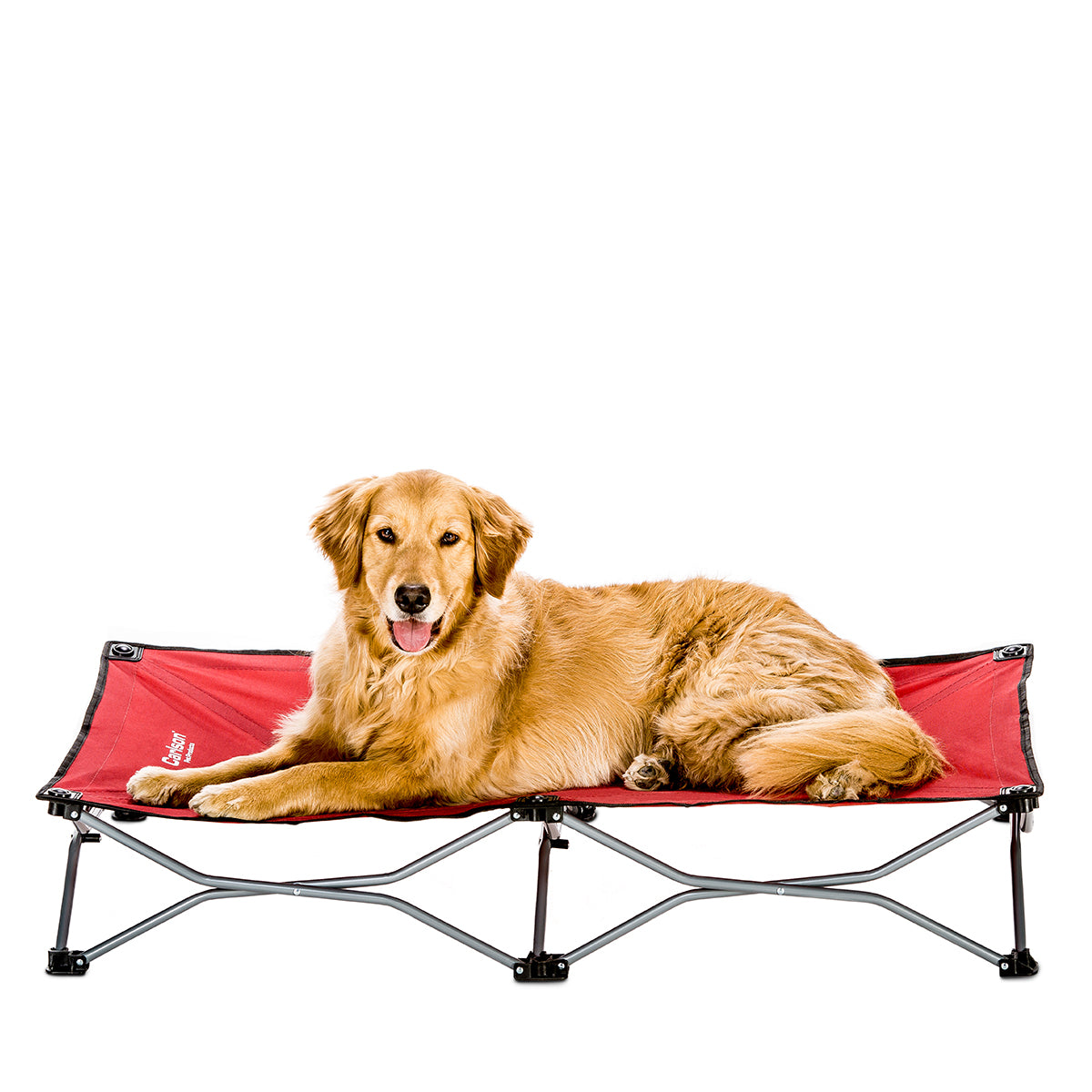 Large Elevated Dog Bed - Red