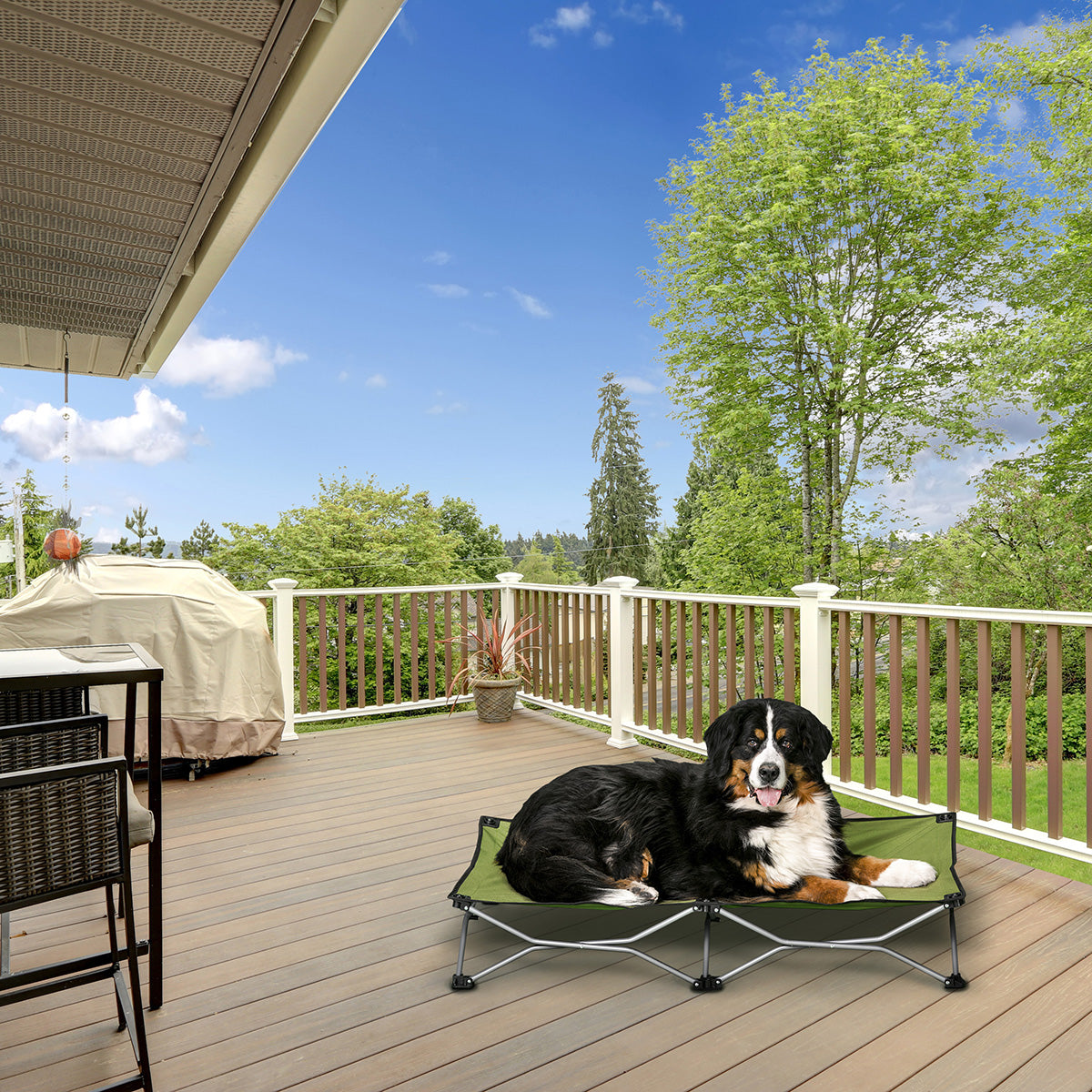 Large Elevated Dog Bed - Green