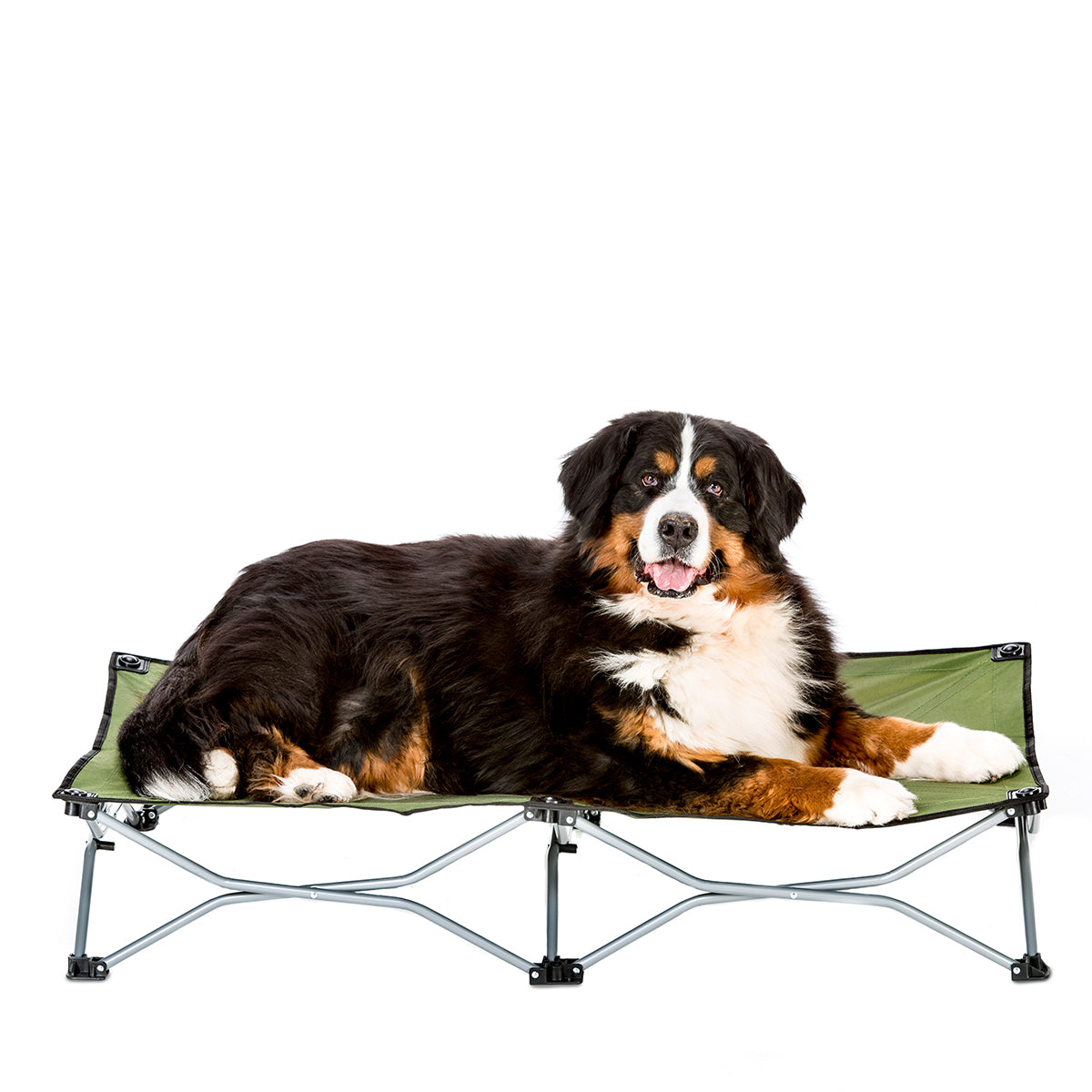 Large Elevated Dog Bed - Green