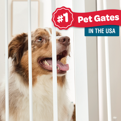 Carlson Pet Products: The #1 Pet Gates in the USA