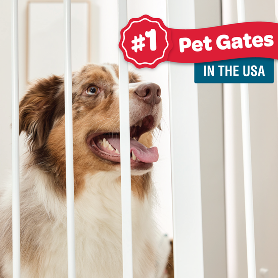Carlson Pet Products: The #1 Pet Gates in the USA