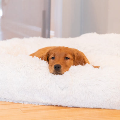 Too Hot to Play? Try These Indoor Activities